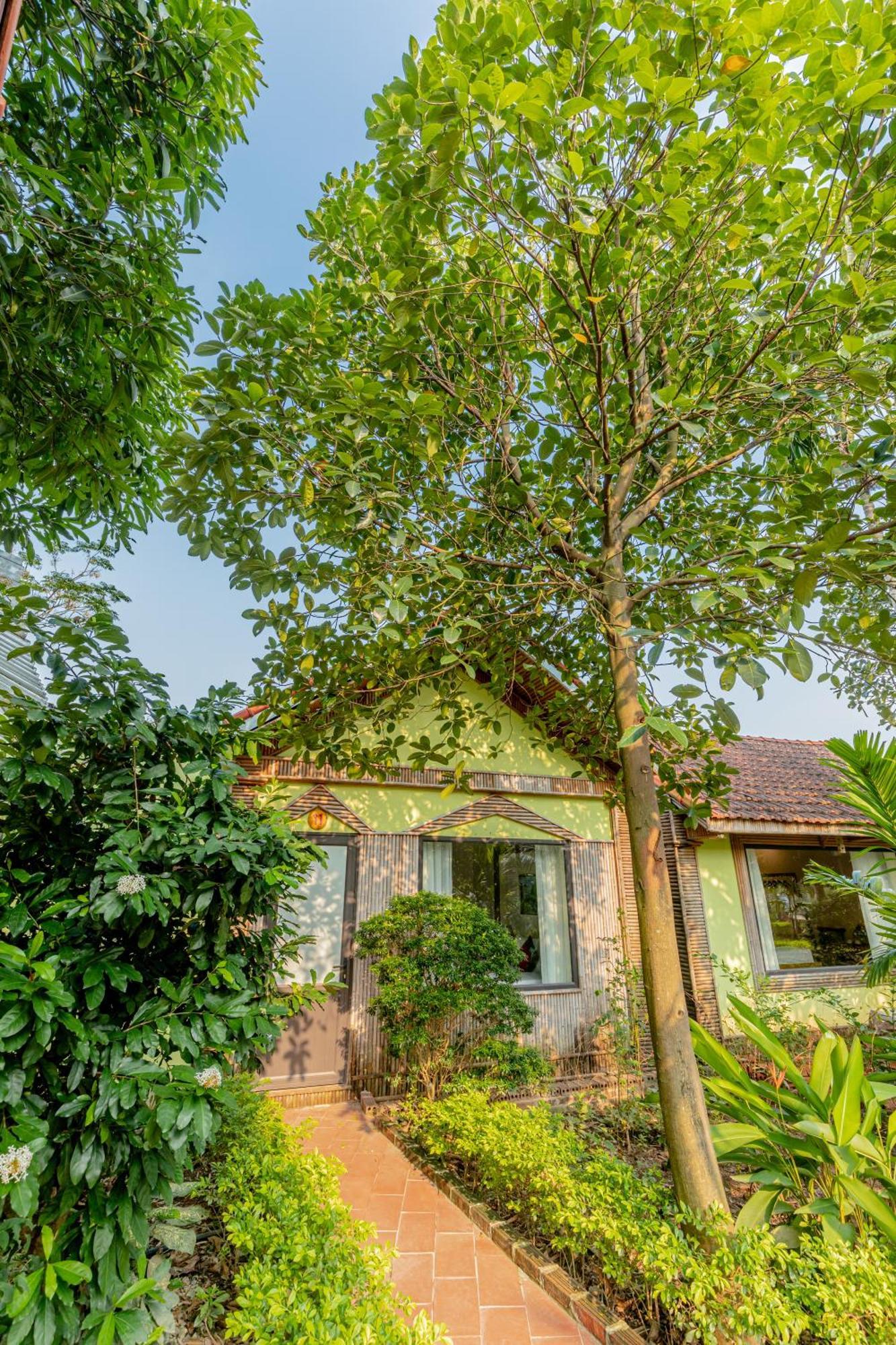 Tam Coc Green Garden Bungalow Ninh Binh Bagian luar foto