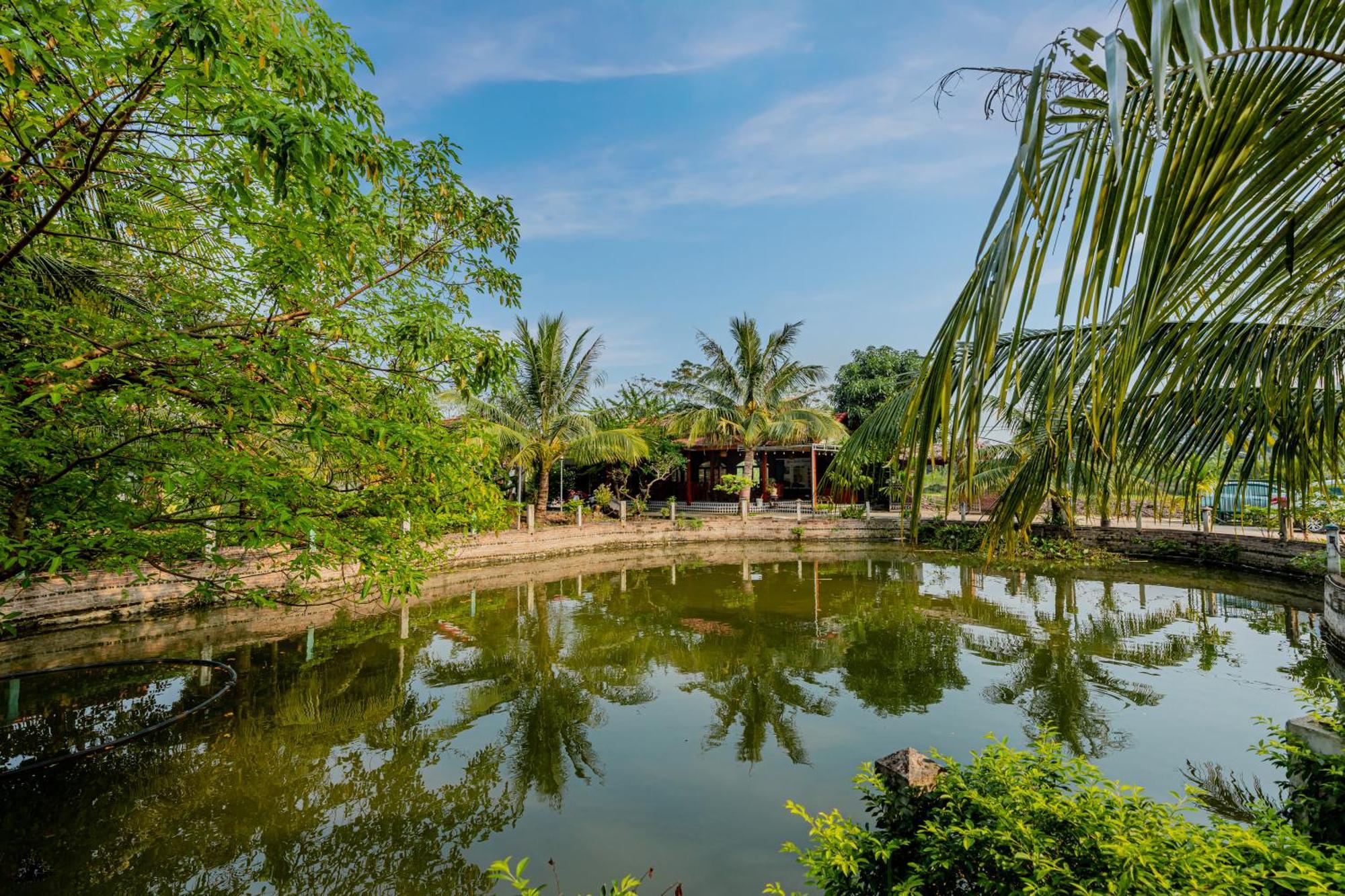 Tam Coc Green Garden Bungalow Ninh Binh Bagian luar foto