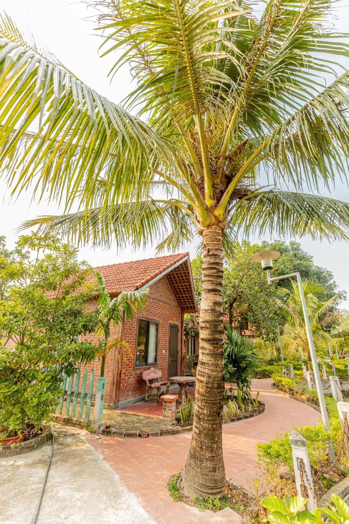 Tam Coc Green Garden Bungalow Ninh Binh Bagian luar foto