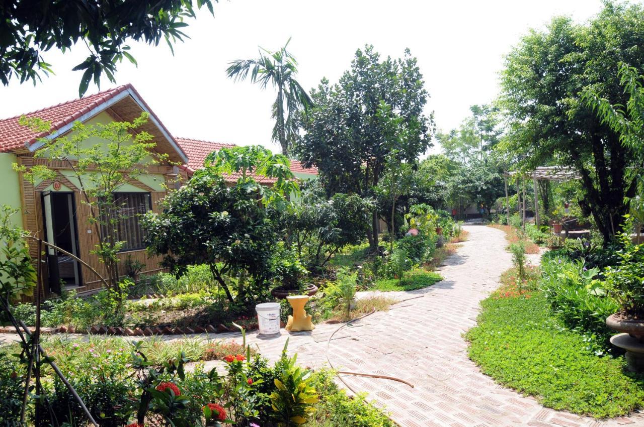 Tam Coc Green Garden Bungalow Ninh Binh Bagian luar foto